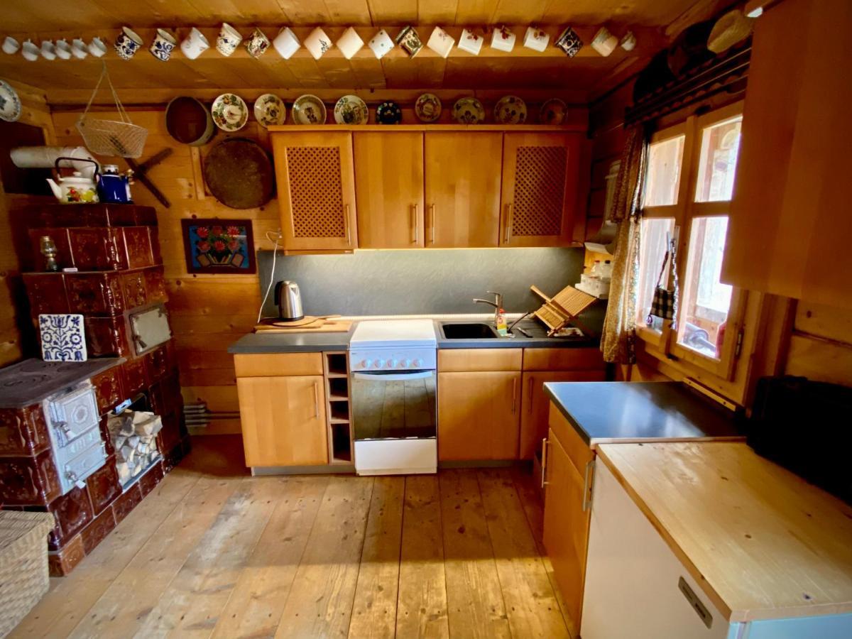 Woodenhouse Maramures Vişeu de Sus 외부 사진