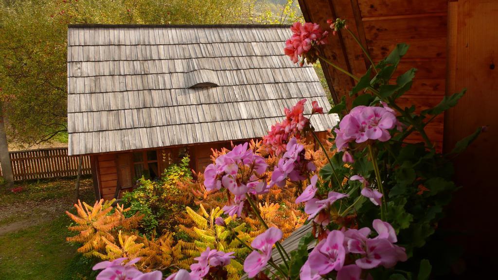 Woodenhouse Maramures Vişeu de Sus 외부 사진