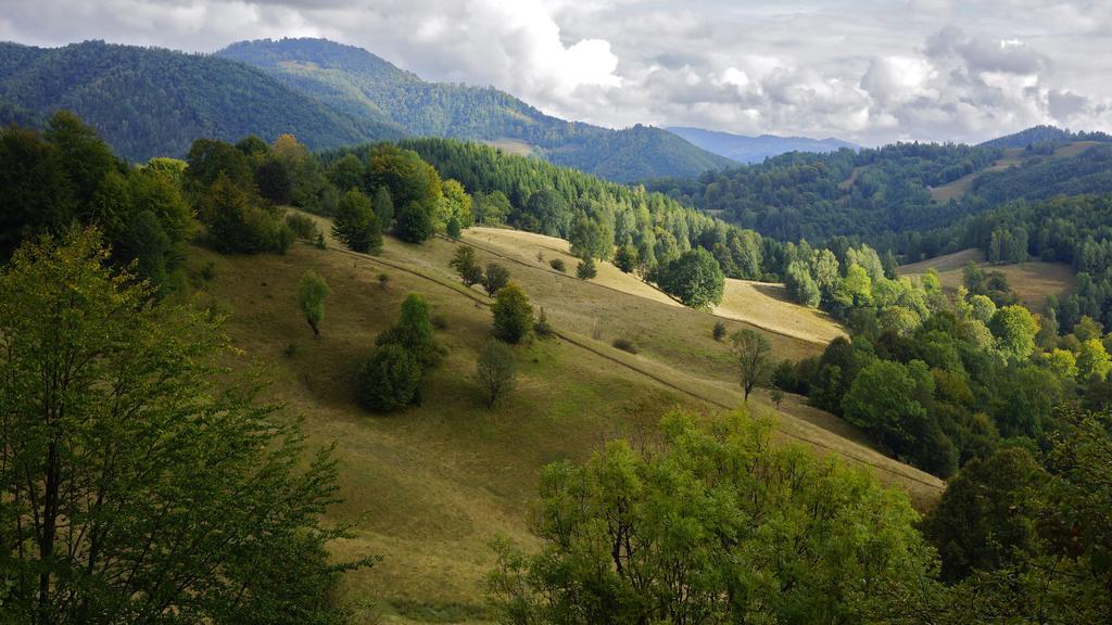 Woodenhouse Maramures Vişeu de Sus 외부 사진