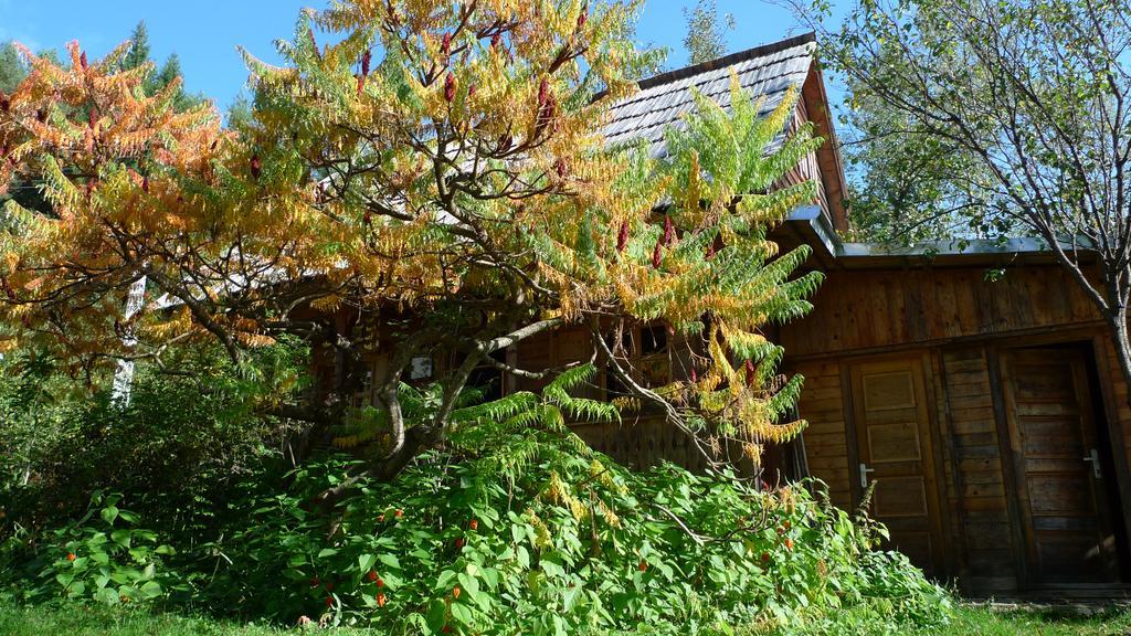 Woodenhouse Maramures Vişeu de Sus 외부 사진