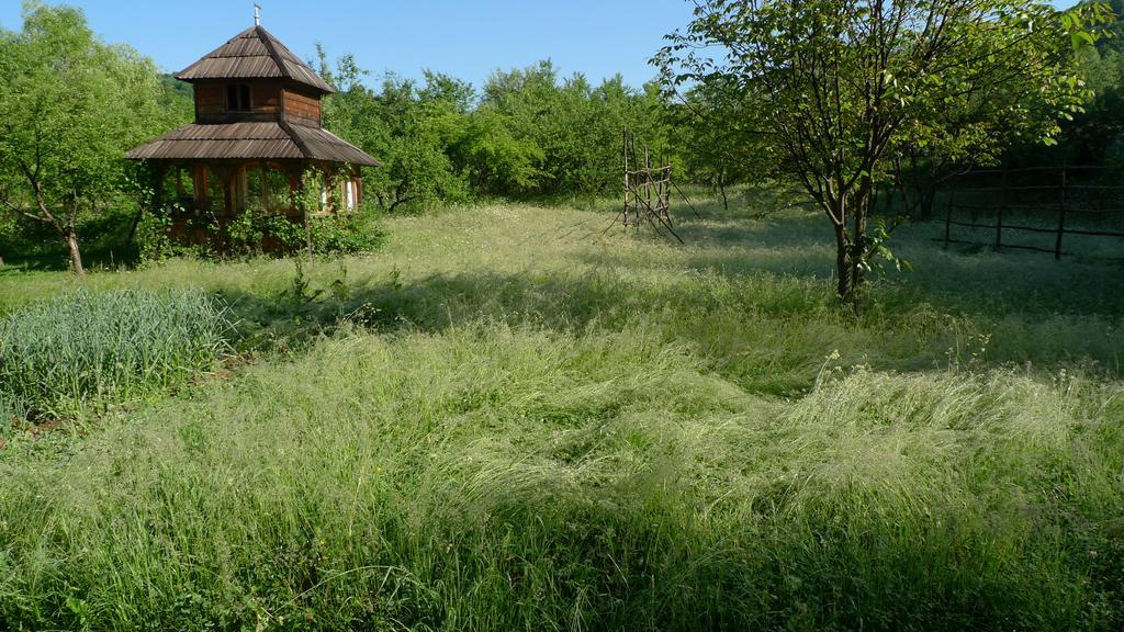 Woodenhouse Maramures Vişeu de Sus 외부 사진