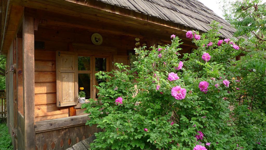 Woodenhouse Maramures Vişeu de Sus 외부 사진