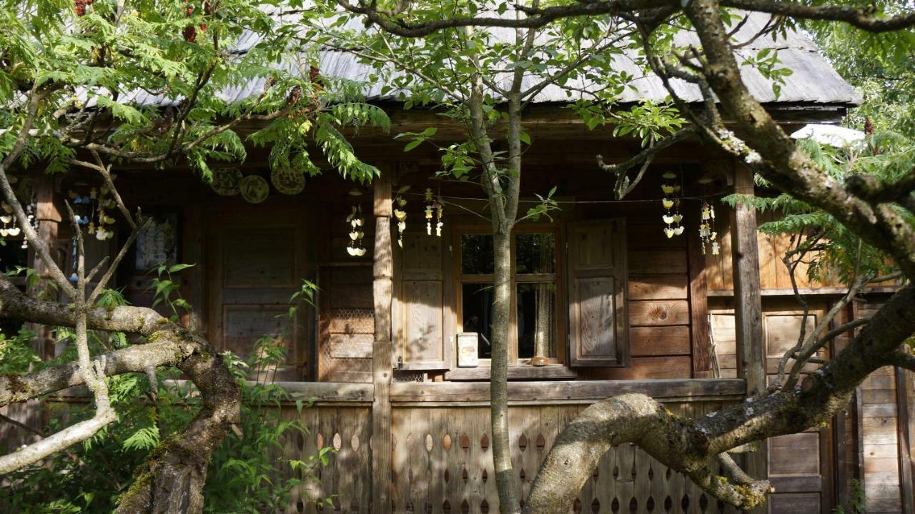 Woodenhouse Maramures Vişeu de Sus 외부 사진