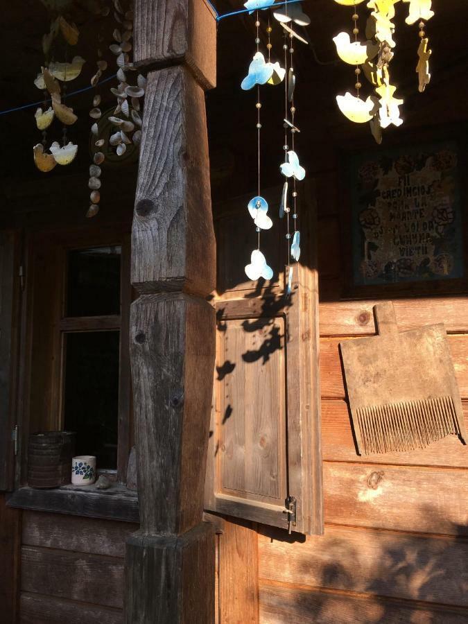 Woodenhouse Maramures Vişeu de Sus 외부 사진